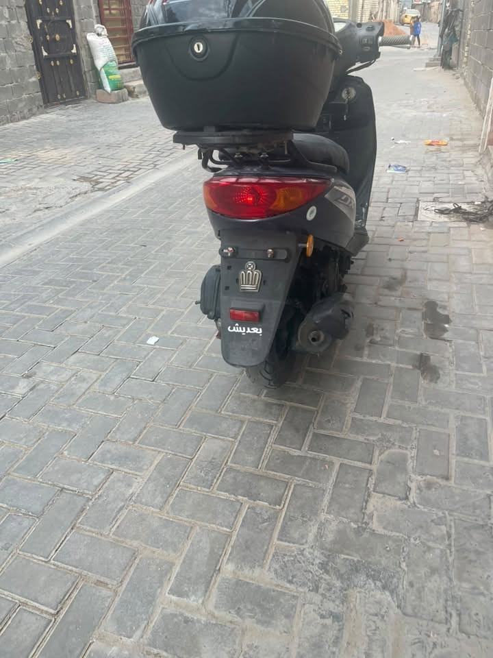 بريز بغبغاء • نضيفة • بلادية