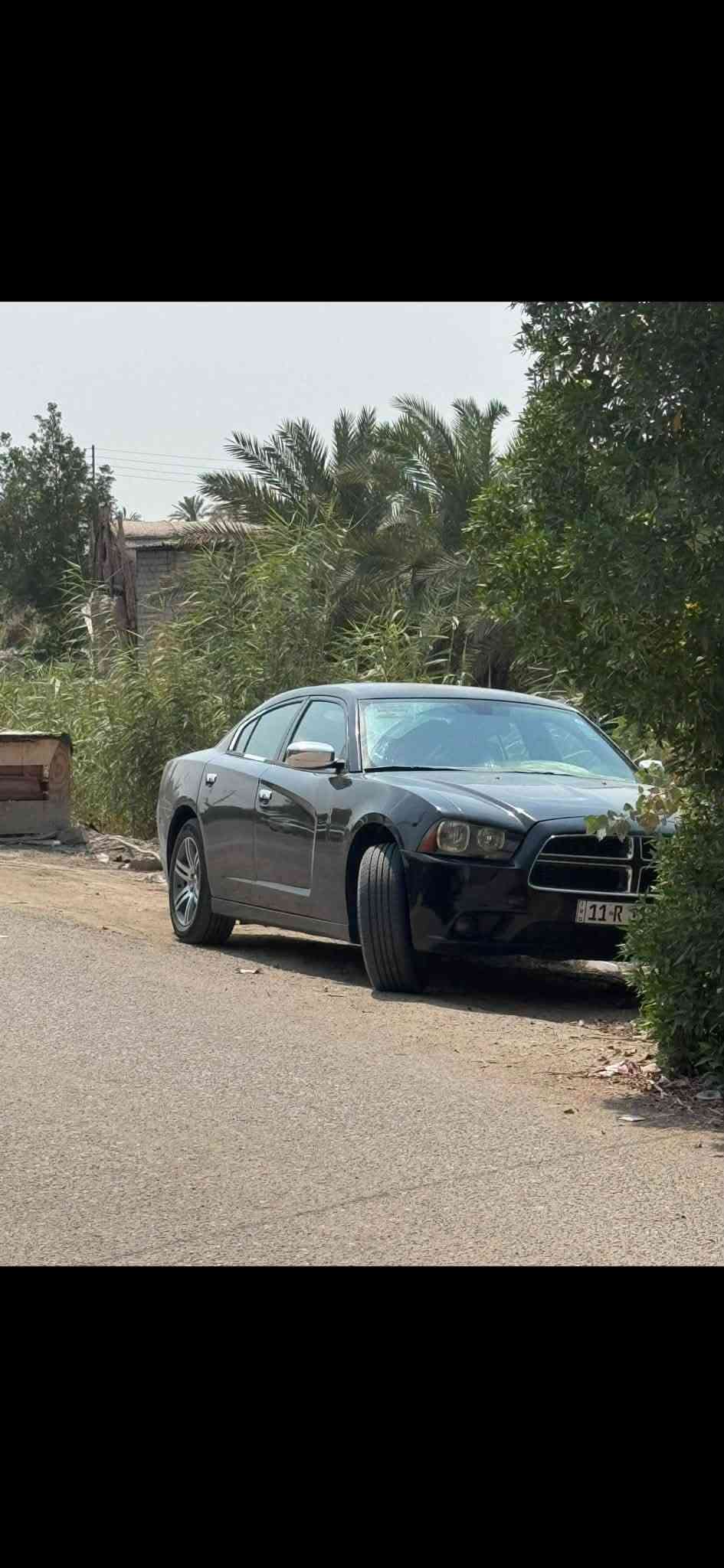 ٢٠١٢ جاهزه السياره جاملغ وبنيد ب امريكا وهنا صبغ بيها قماره جاهزه السياره تخم تاير ويل جديد اصلي تبريد تدفئه كير مكينه خير من الله رقم بغداد باسمي تحويل مباشر *********** مكاني ناصريه مركز
