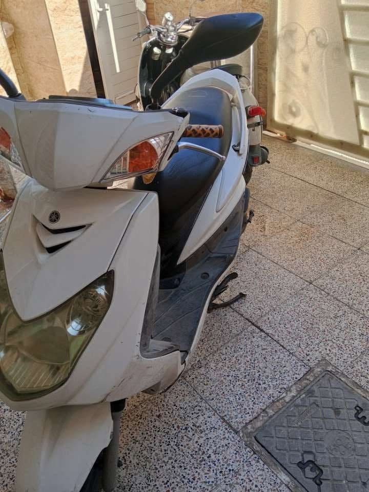 سلام عليكم شباب سكنس فحل نوزل خطين دراجه خير من الله مال رمبه دراجه كلش جديده كهربائيات كلها شغاله كامله من كلشي سعر 1100وبيها مجال بسيط مكاني بغداد حي العامل رقمي *********** /او مراوس
