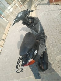 بيجي • فحل • نضافه