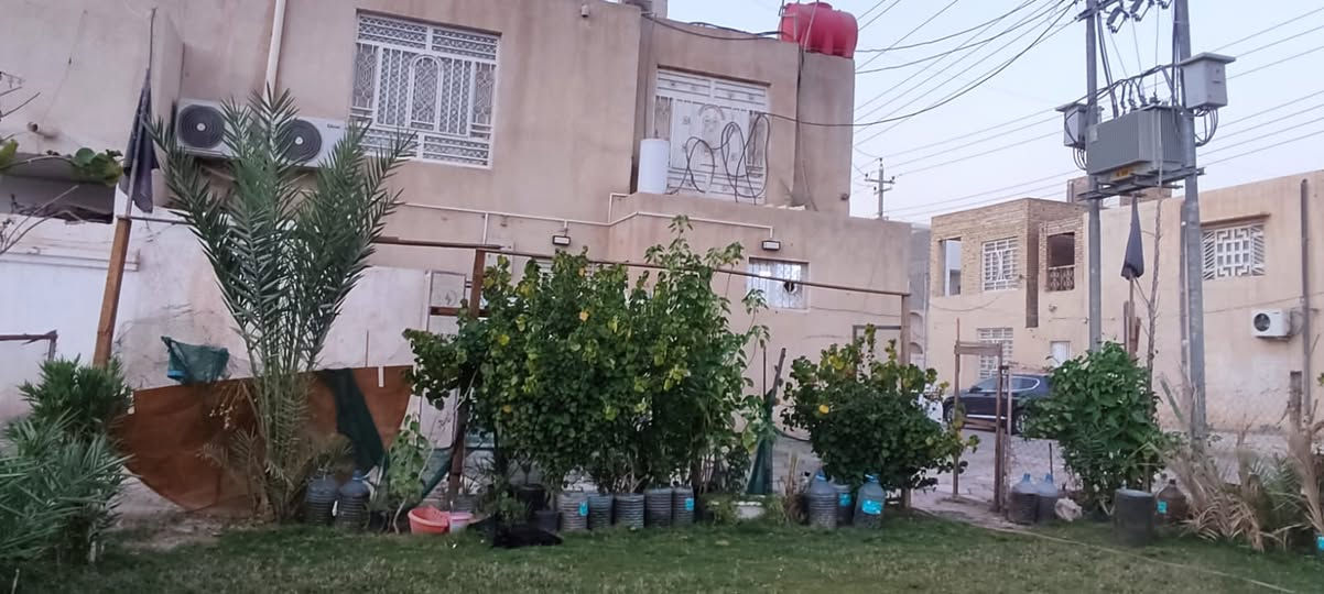القطاع • ١٠٠م • بيت ركن