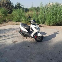 سكنس فحل • كابريته • برغه