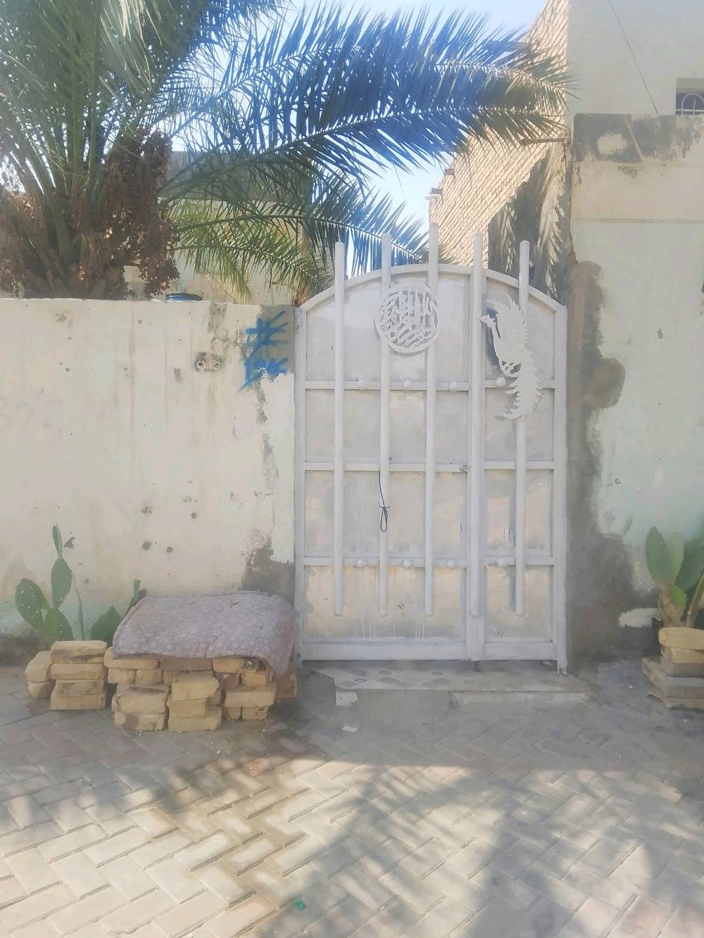 ديوانية الاسكان • ١٠٠م • طابو صرف