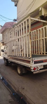 فحل مفتوح • بدون ضرر • ٢٠٢٢