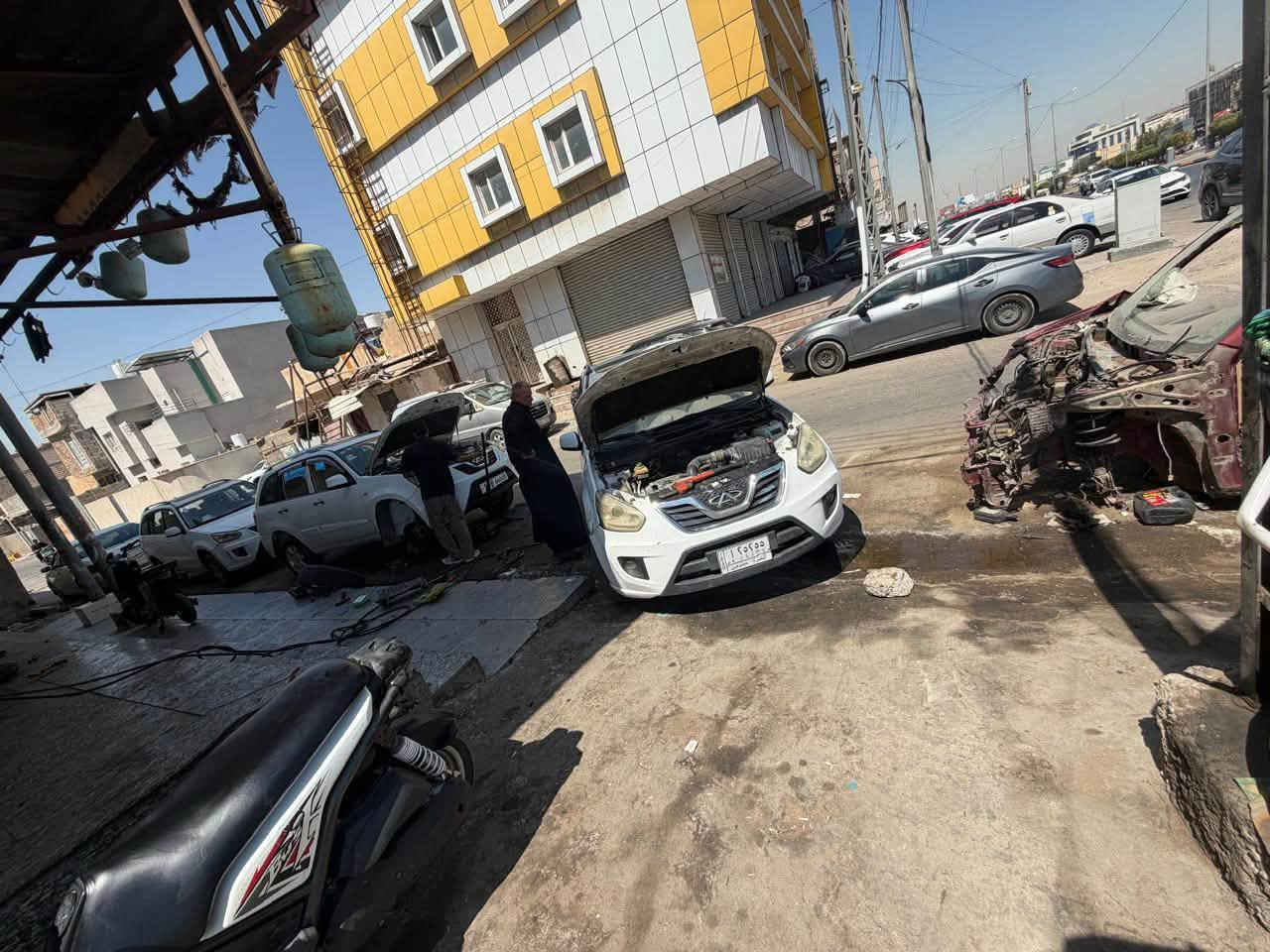 تايمن شيري • رولات كوورية • فحص شامل