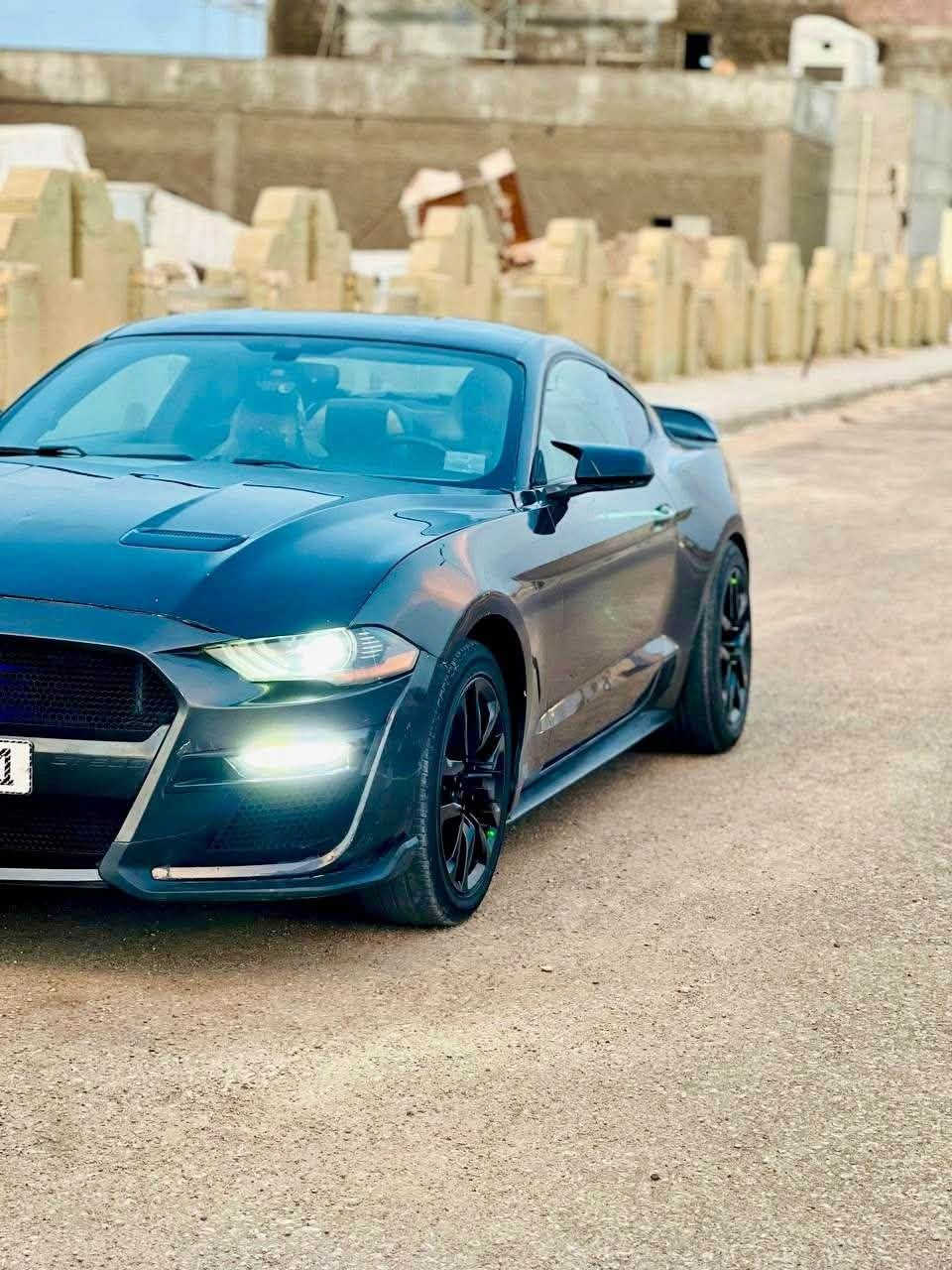 موستنك ايكو بوست • ٢٠١٩ • حادث امامي