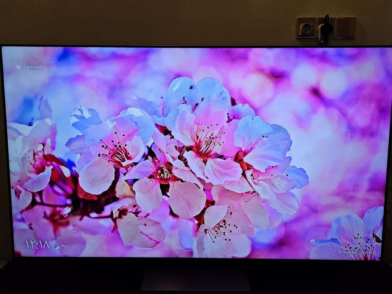 TCL • C7K • ٦٥ بوصة