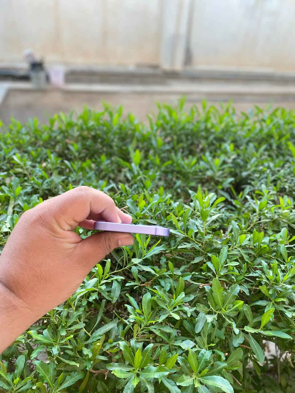 ايفون 12 بلادي وتر بروڤ نضافه 100‎%‎ ذاكرته 128
بطاريته 87 بلاديه جهاز استخدام شخصي وين ميعجبك روح افحص سعر 340 الف النضافه كدام عينك للاستفسار ***********
