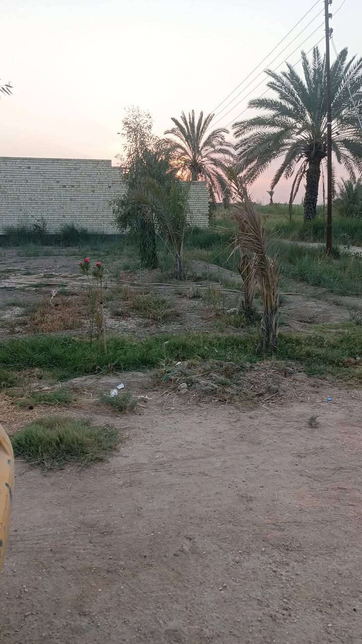 سلام عليكم 1050 متر اللبيع مع بيت 200 متر سند 25 بيع مستعجل طريق كربلاء طوريج مدرسه أبا الفضل وتنزل تبليط السعر مناسب التفاصيل اكثر تصل برقم ***********
