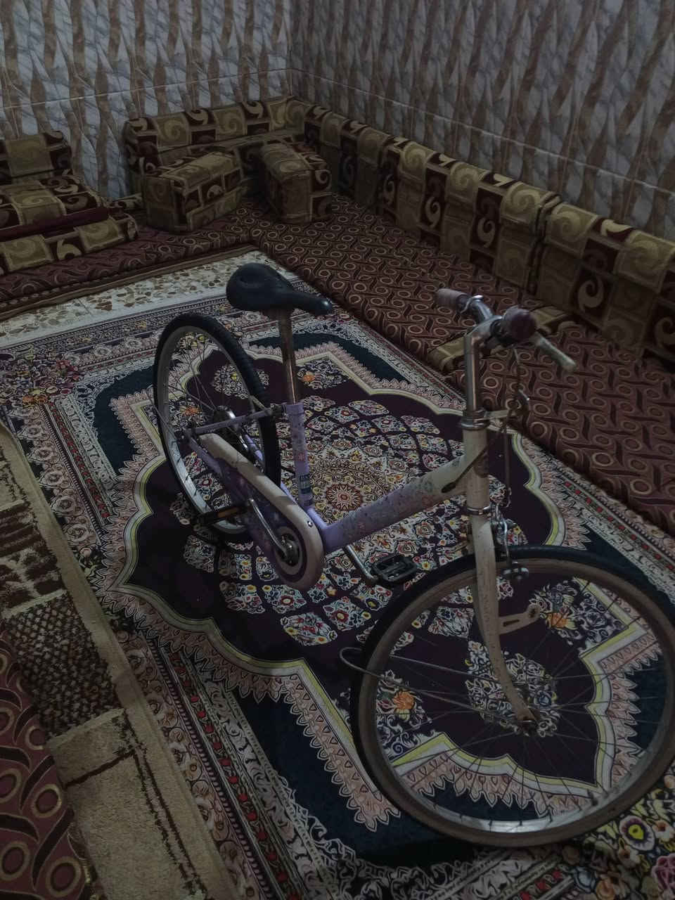 باسكل • نضيفه • حجم ٢٢