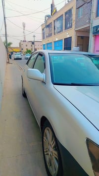 افلون • ٢٠٠٧ • النجف الأشرف