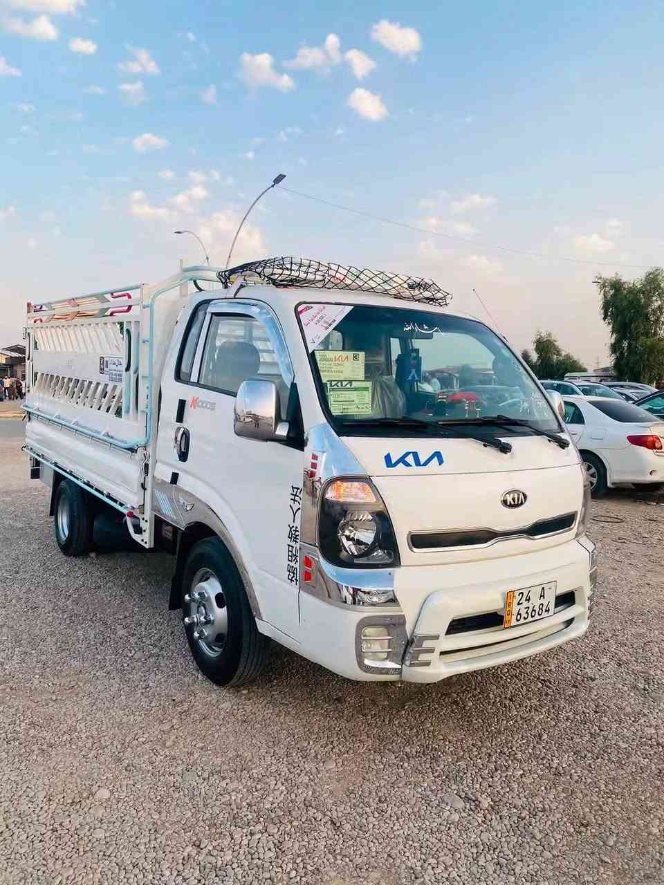 حمل فحل • صبغ عام • ٢٠١٦