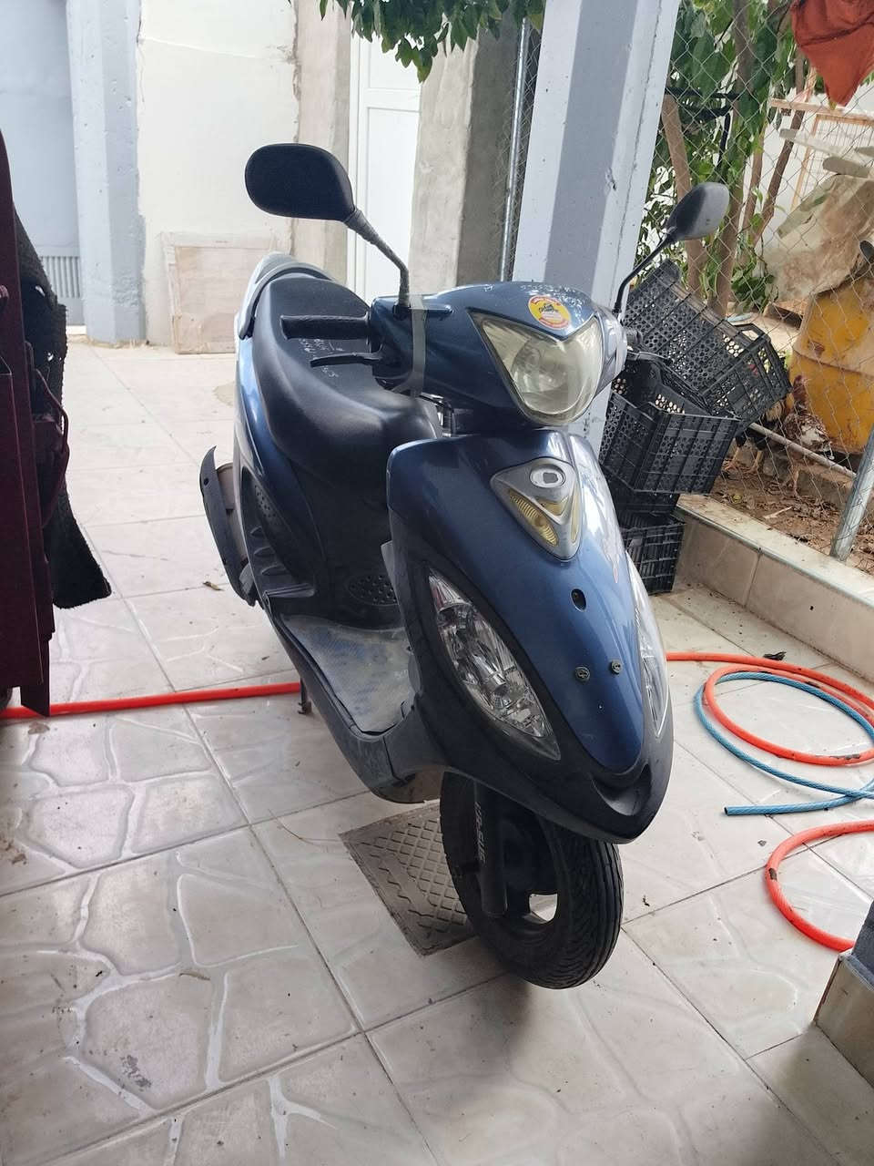 ماكس ماكو • نضافه • معدل