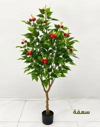 نباتات اصطناعية • سعفة • درجة أولى