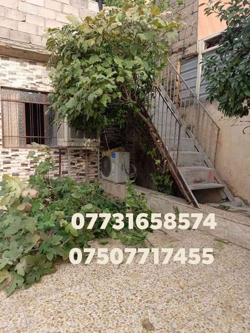تقليم الأشجار • قص الثيل • تصاميم حدائق