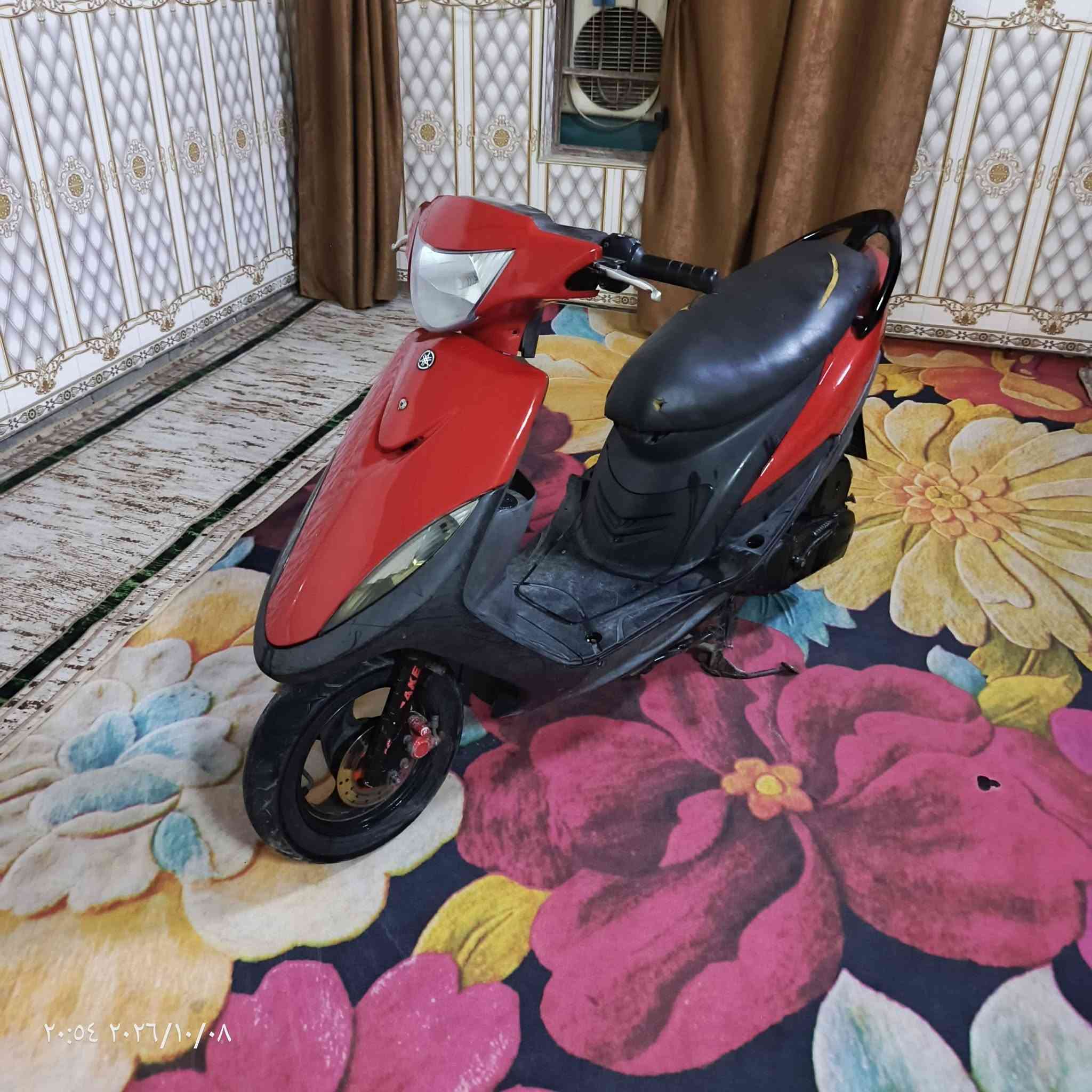 ماكس • نضيفه • سلف