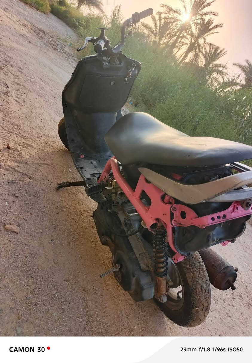 فراشة حربي • ما بيها نقص • بيع مستعجل