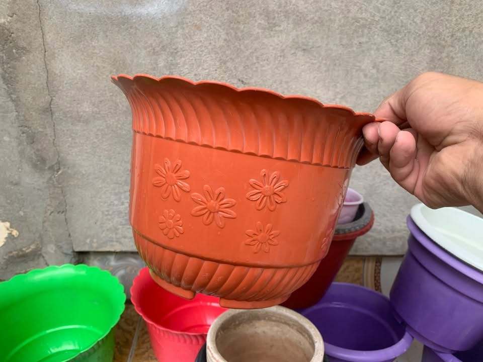 قفص • أرفف خشب • سنادين