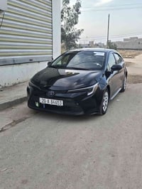 خط طالبات • جامعة ديالى • خاص
