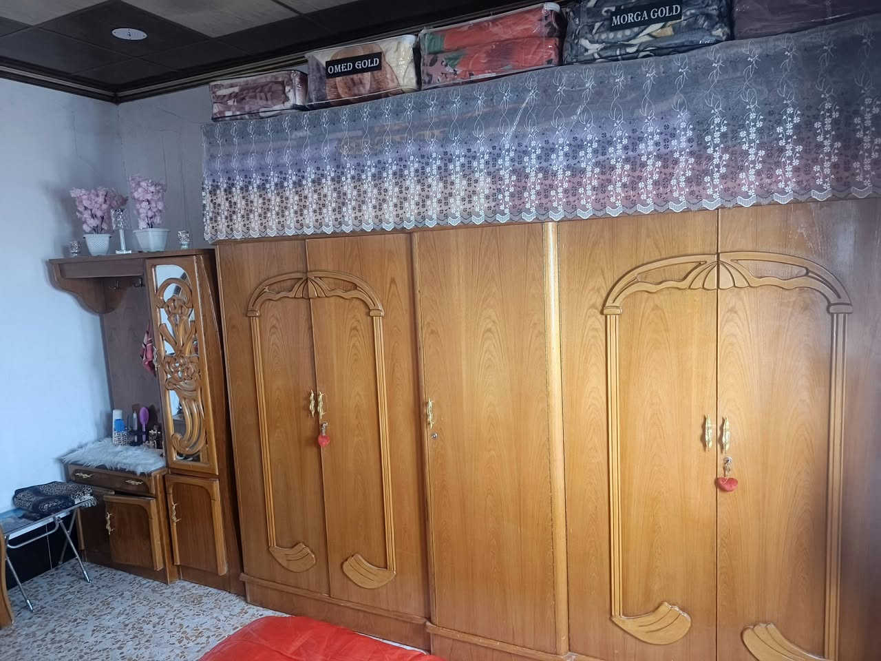 جديدة • نضيفه • قوسيات