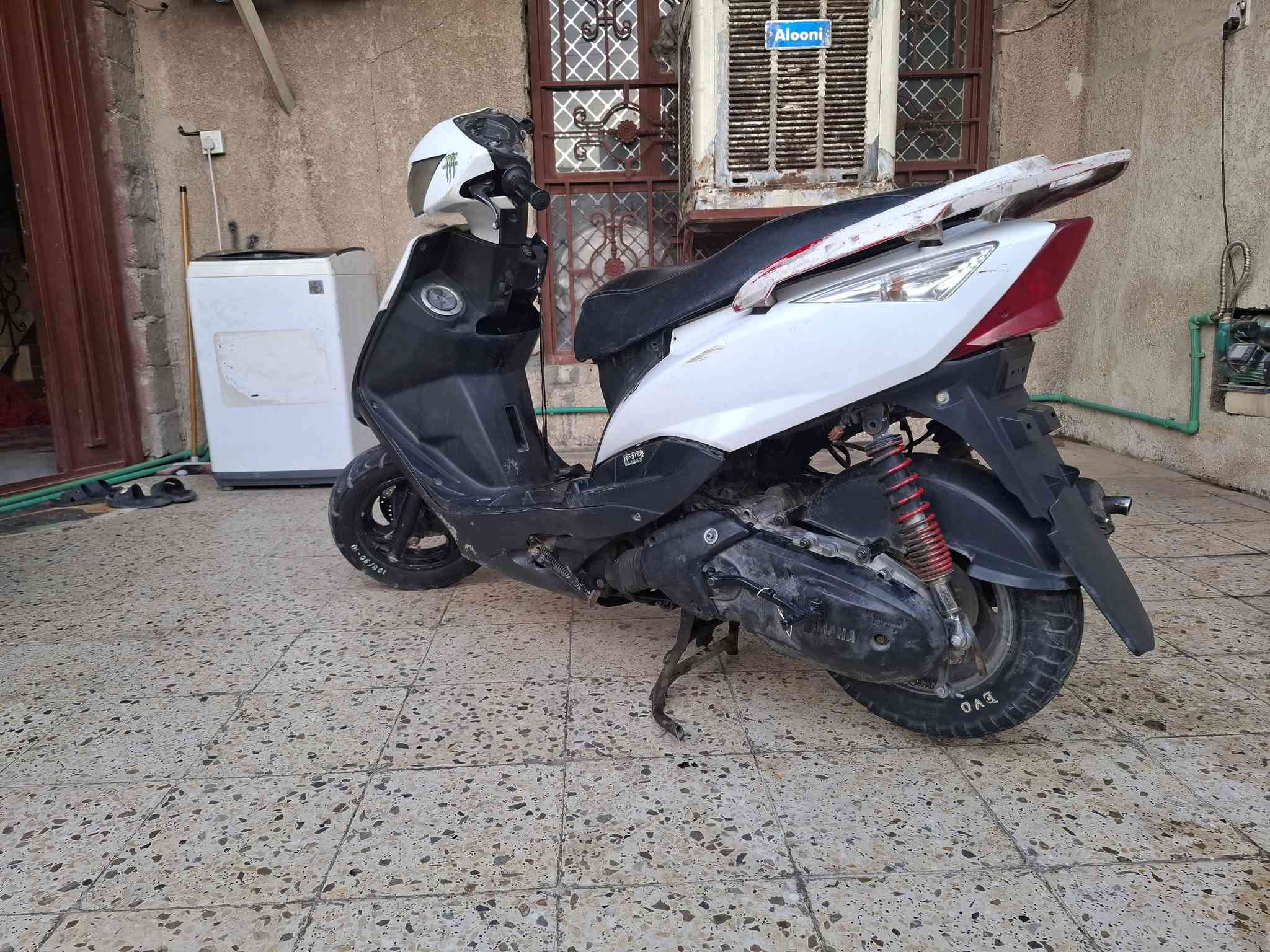 ثعلب ماكس • نظيفة • سلف