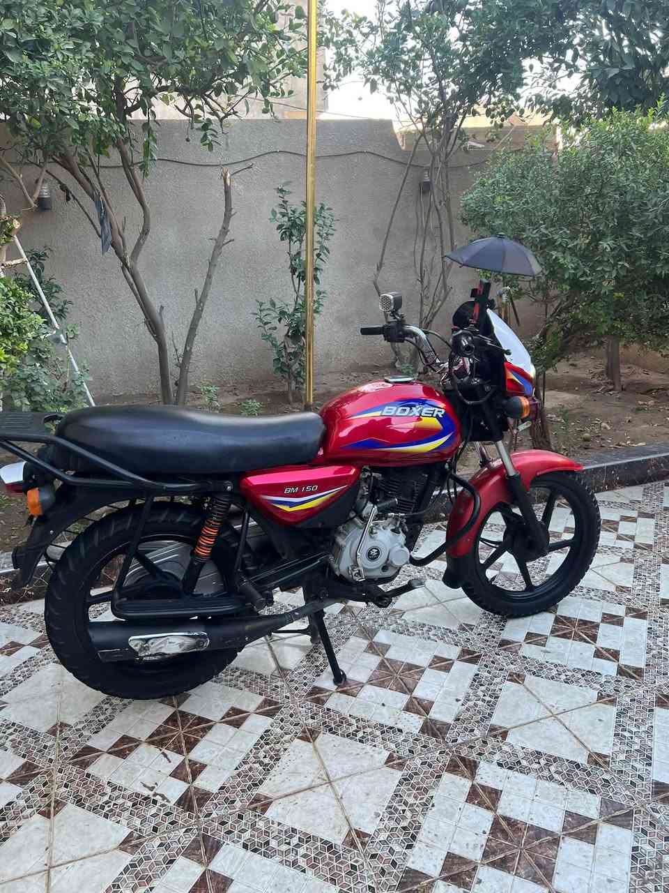 بوكسر • موديل ٢١ • نظيف