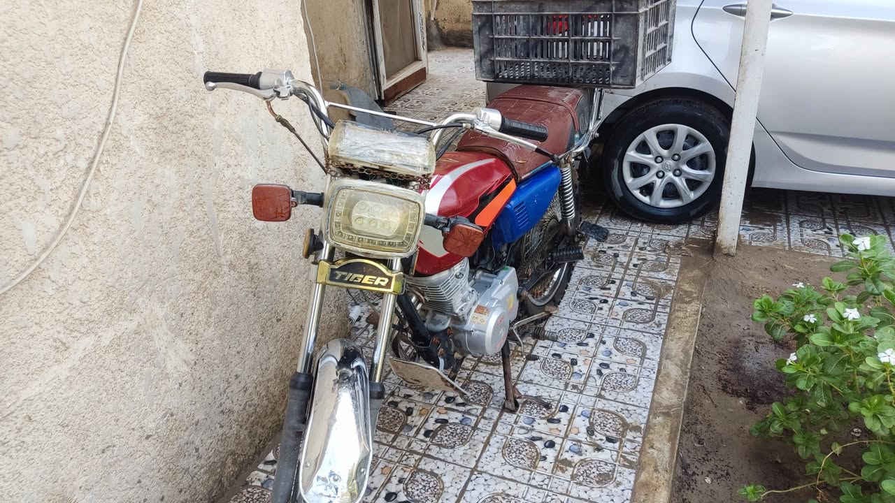 دراجه تايغر للبيع موديل 20 تايرات جدد مكينه مامفتوحه نضيفه اوراق اربع أوراق السعر 300 وبيها مجال قليل حله شارع 80 مال كربلاء ***********
