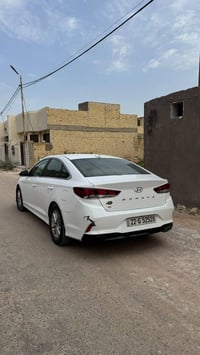 سوناتا SE • ٢٠١٨ • رقم اربيل