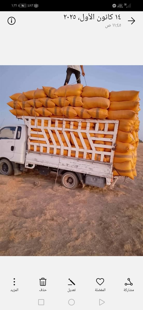 يوجد تبن البيع كمية مفتوحه السعر مناسب سعر الزوج 2500  / يوجد توصيل مجاني تكريت الاسحاقي دجيل الضلوعيه حاتميه بلد الزلايه العباسية ***********

نص مكتوب في الصور:
- ١٤ كانون الأول، ٢٠٢٥ ١١:٤٥ ص