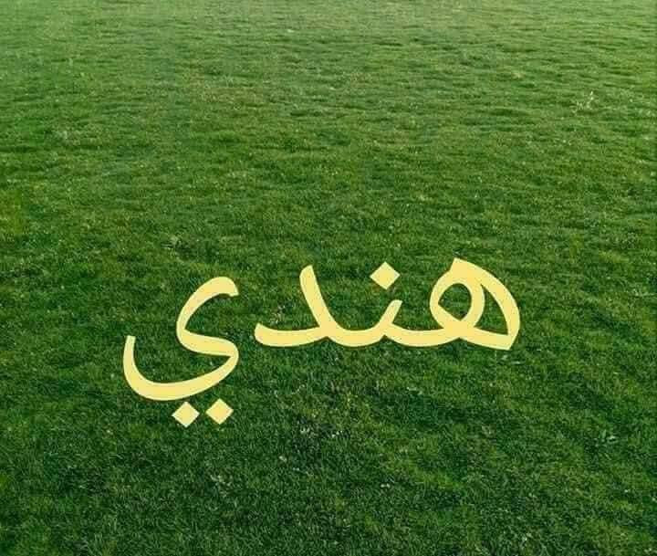 🍃مستـعدون🍂 عمل كافه ديكورات حديقه ، لـترتيب🐦 الحدائق المنزلية🏝️🏘️
وزراعة النباتات، 🌾🌴🌱والازهار، 🌼🌺🌻وقص الثيل.
أعمالنا مستمرة دائماً ونسعى لإرضائكم ❤❤🌲🌲 
عالم الحدائق تصميم وترتيب الحدائق  .
مستعدون تقليم. وترتيب الاشجار. 
بطرق جديده وحديثه وتزويد الثيل بالأسمده المفيدة 
وعلاج لأشجار مريضه وبأاسعار مناسبه.
الاتصال او الاستفسار ...ولدينا جميع الأشجار والادويه 
***********
***********
