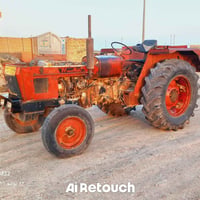 عنتر 85 • رقم وسنوية • صبغ شركة