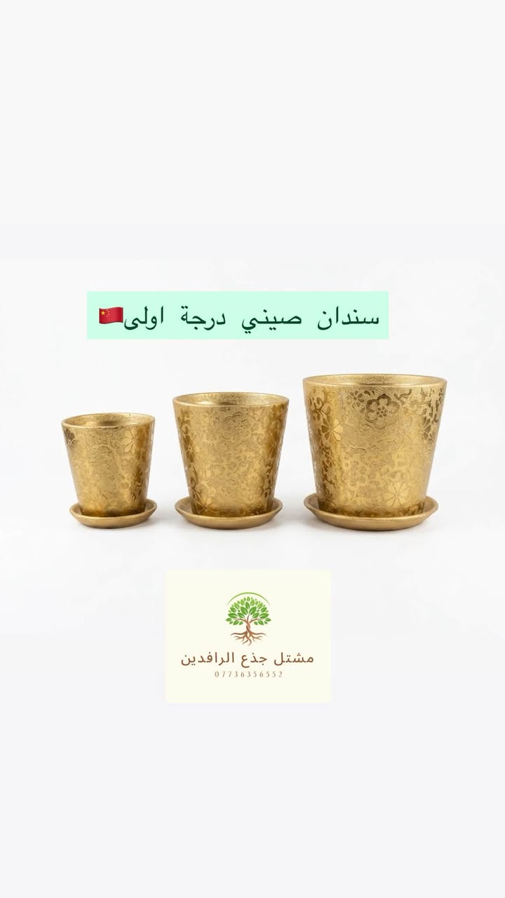 سندان صيني درجة اولى🇨🇳💪

أناقة السندان قبل أناقة النبتة!🪴✨
تحفة فنية تخطف العيون وتغير شكل زاوية بيتك بالكامل!

تشكيلة سنادين راقية بلمسة فاخرة (نقشات مميزة، ذهبي، فضي، وألوان مطفية هادئة) تصاميم مميزة تعكس ذوقك
الرفيع.

📌كل سندانة تجي وياها الماعون الخاص بيها بنفس الديزاين والخامة لترتيب نظيف ومثالي.

📏متوفرة بعدة قياسات لكل طقم يناسب مختلف النباتات.

‼️ج الكمية محدودة جداً والطلب عليها كبير!
• 🚗متوفر خدمة توصيل سريعة لجميع المناطق
.
✉️لا تفوت الفرصة.. احجز طقمك الآن عبر الرسائل قبل نفاذ الكمية!

📍العنوان ::بغداد:: زيونة 

يوجد خدمة توصيل 🚚 

رقم الهاتف /***********:::واتساب✅✉️
