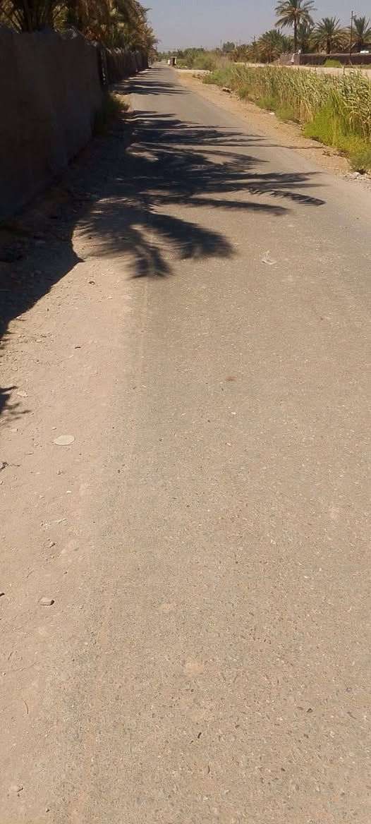السـلام علـيڪم
مـزرعه للـبيع العـدد 3 دونـم ونـص وجـه الدونم الواحد 10 مـتر والـطول 250 مـتر عـدد النـخل 100 حمـال بيـهاا ملـون وبيهاا زهـدي وخسـتاوي مـع وجـود بيـت مسـاحة 300 متـر وحديـقه ڪبيره معـه وجـود مـي وكهـرباء وتـبليط للباب مـباع دونم او 2 او 3 او كلهـن مـعه وجـود حقـل ڪبير مسـاحة 20 × 20 متـر  . 
المڪان / حلـه ابـي غـرق خـلف مجـمع الڪوثـر رقـم الهـاتف للاتصـال او الاستـفسار . 
***********
