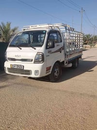 كيه فحل • موديل ٢٠٢٥ • كفالة عامه