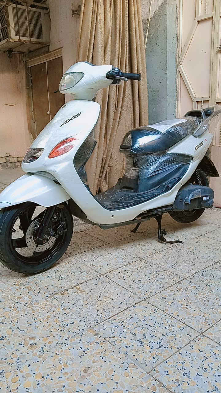 اكزز فحل • ابيض لؤلؤي • كفاله عامه