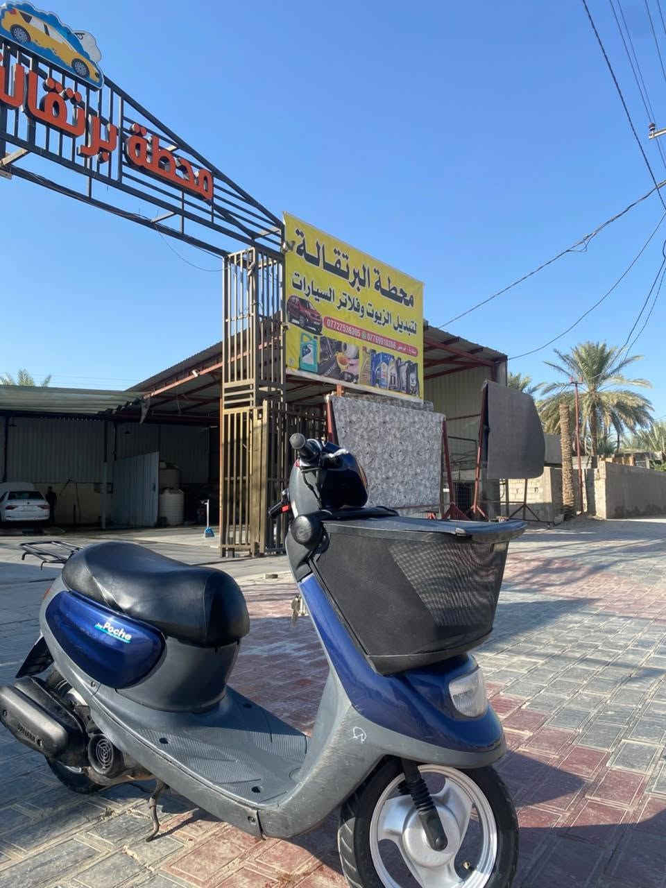 منغولي • ٦٠ • جديده