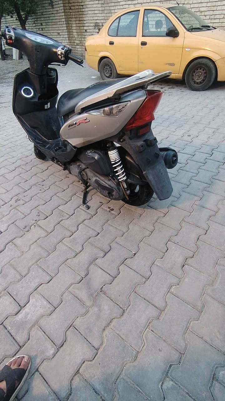 ثعلب نوزل • بلاديه • خرسه