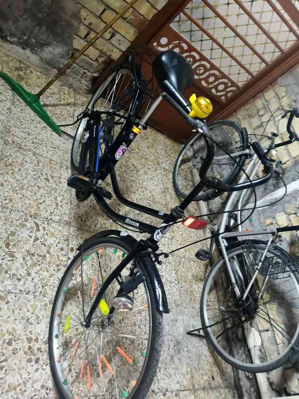 سلام عليكم بايسكل لبيع بايسكل اخو جديد بس تاير ورة تودي للمصلح يضبلك سيامة مال ويل سعر 75 وبي مجال مكان بغداد شعب رقم ***********
