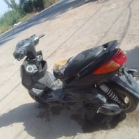 سكنس • فحل • سعر خاص
