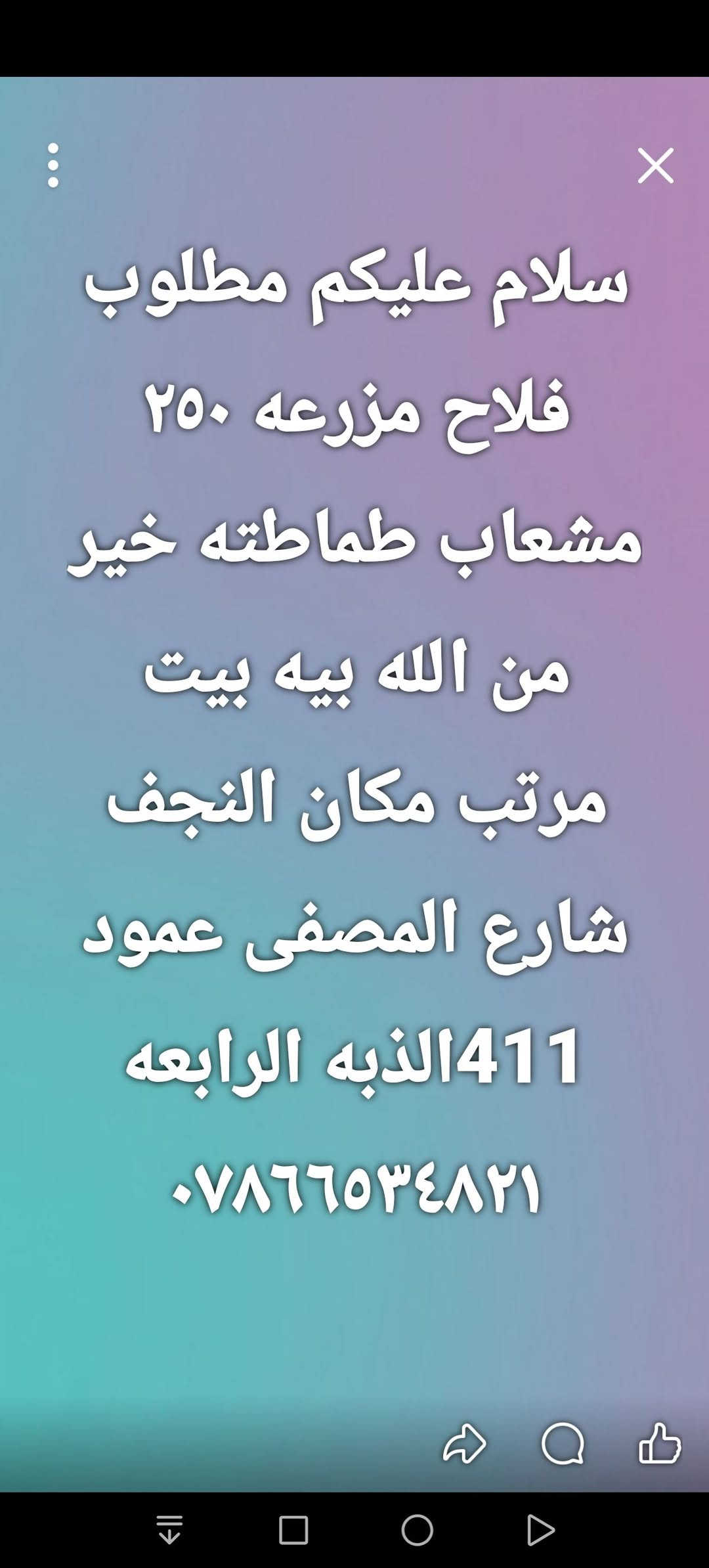 فلاح مزرعه • شارع المصفى • النجف