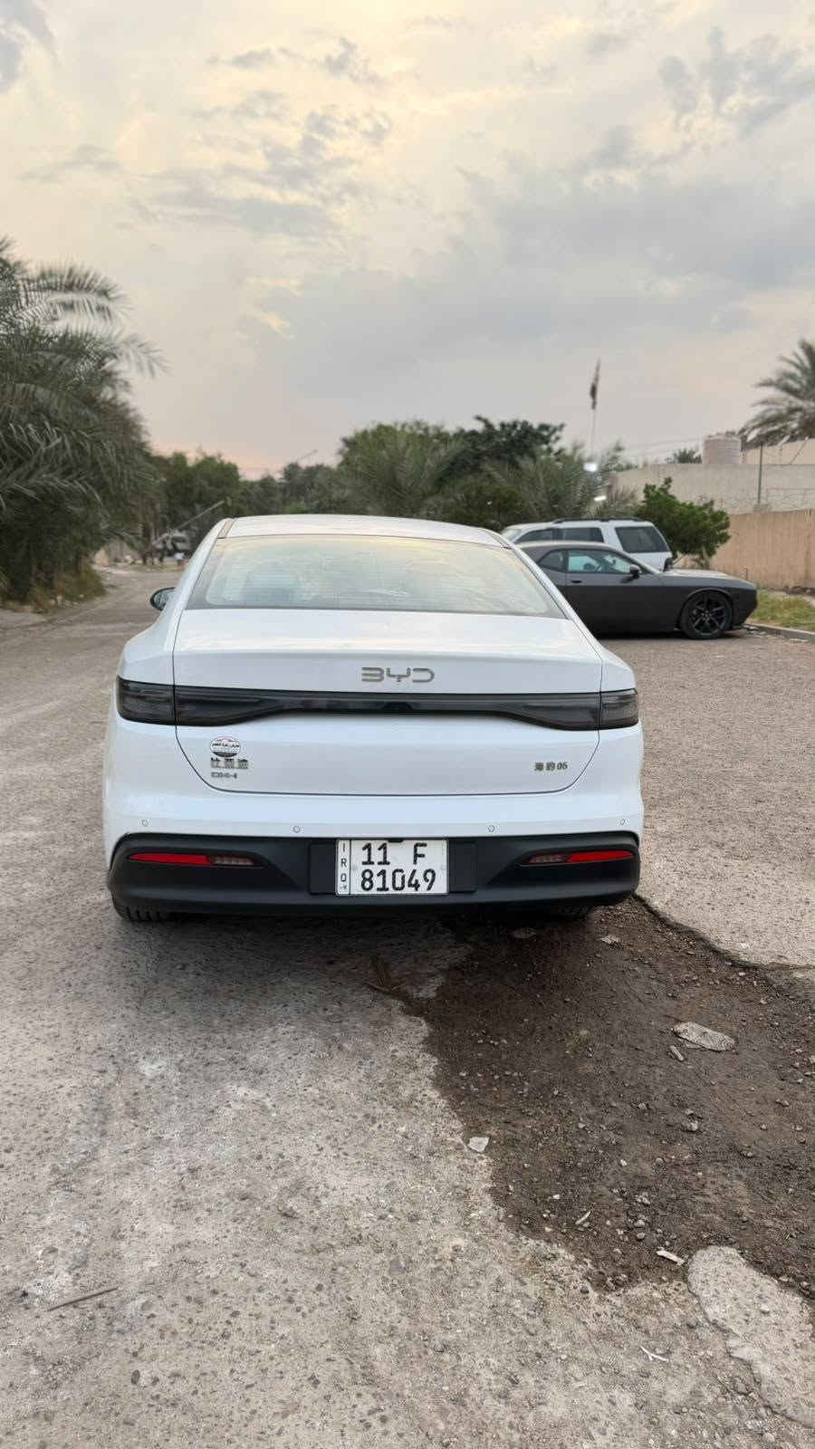 سيل فايف • ٢٠٢٥ • ٦٠٠٠ كم