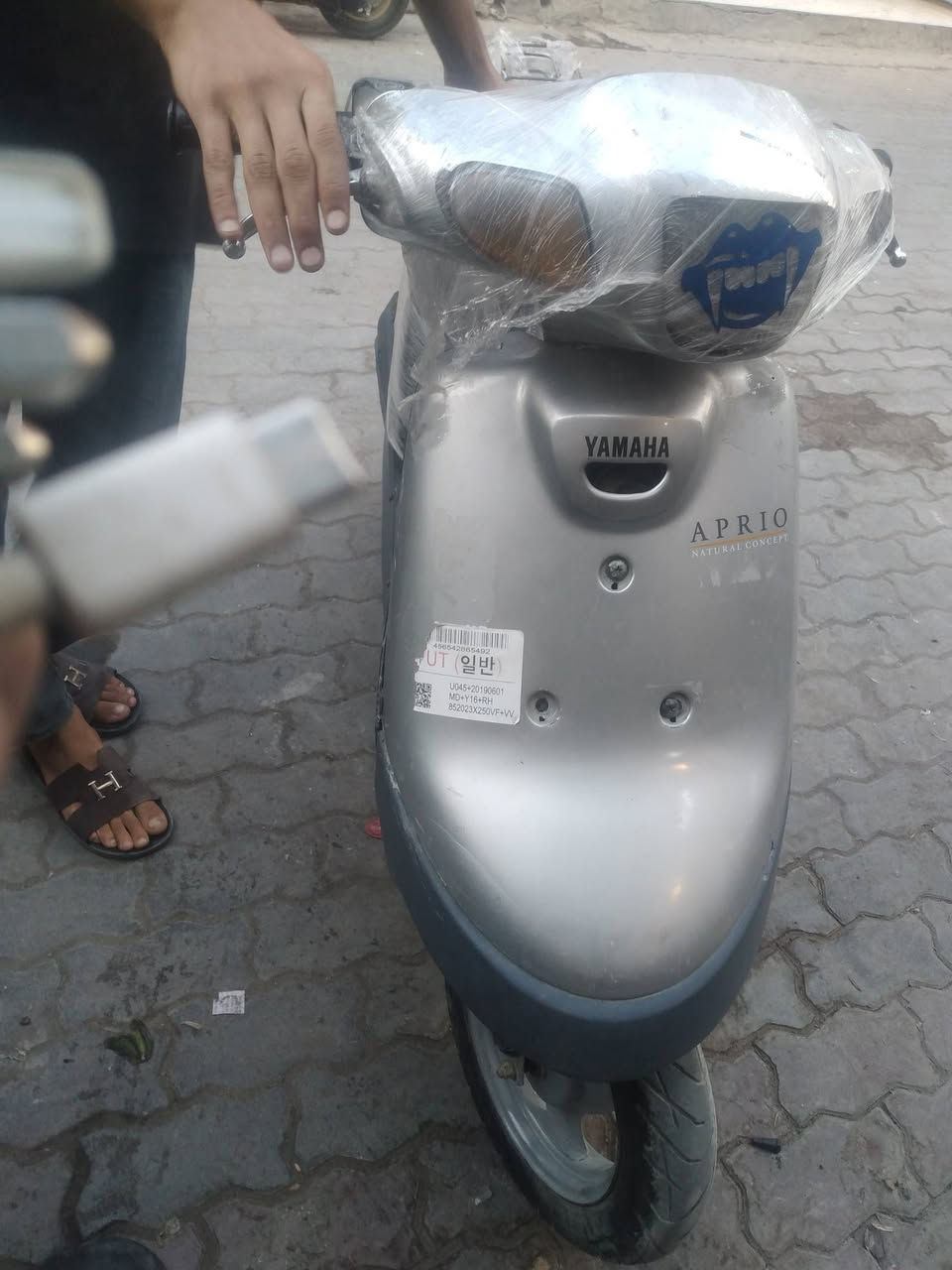 بطة • نضيف • خدمية
