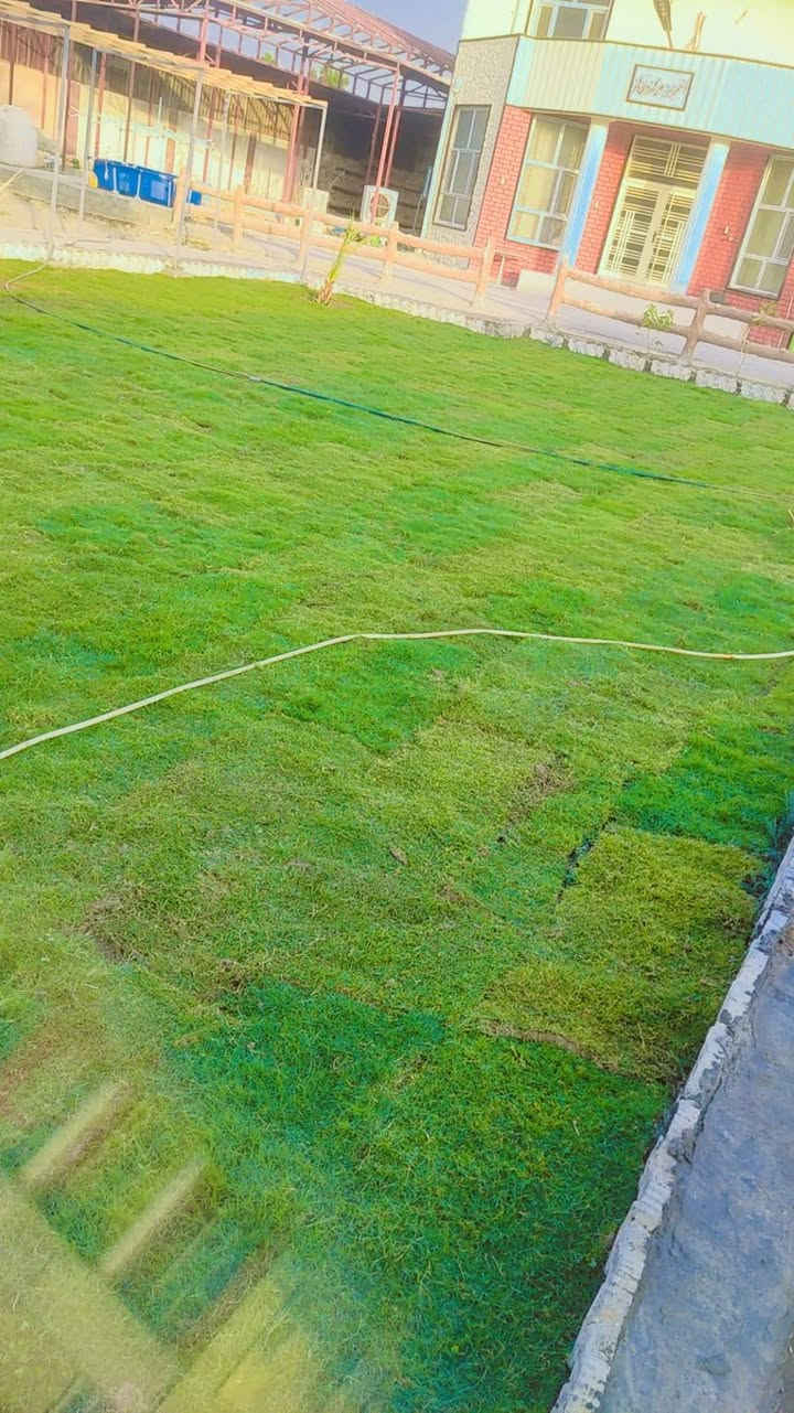 🌳 ثيل طبيعي من أجود الأنواع.. خضرة تدوم وأناقة تبهج! 🌳
مناسب للاستخدام في:

🏡 المنازل | 🌿 الحدائق | ⚽ الملاعب | 🏢 الدوائر | 🏗️ المشاريع الاستثمارية

🟢 أنواع متوفرة لدينا:

فرنسي – إيطالي – أمريكي – هندي – إسباني – إنكليزي

💚 نوعيات ممتازة بأسعار مناسبة جداً

📦 وقابل للتفاوض للكميات الكبيرة

✅ تجهيز كميات كبيرة للمشاتل والملاعب

✅ كادر متخصص بالزراعة والتركيب السليم

✅ نوصل لك لباب البيت، بأسرع وقت!

📞 للحجز أو الاستفسار تواصل معنا الآن

***********

#ثيل_طبيعي #خضرة_دائمة #زراعة_ثيل #ملاعب #مشاتل #أسعار_تنافسية
