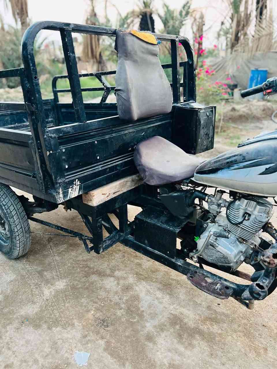 ستوته • ٢٠١٢ • اوراق