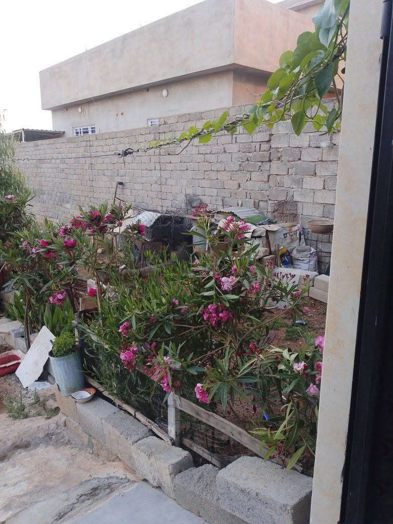 بيت • مفرق تلكيف • ١٥٠م