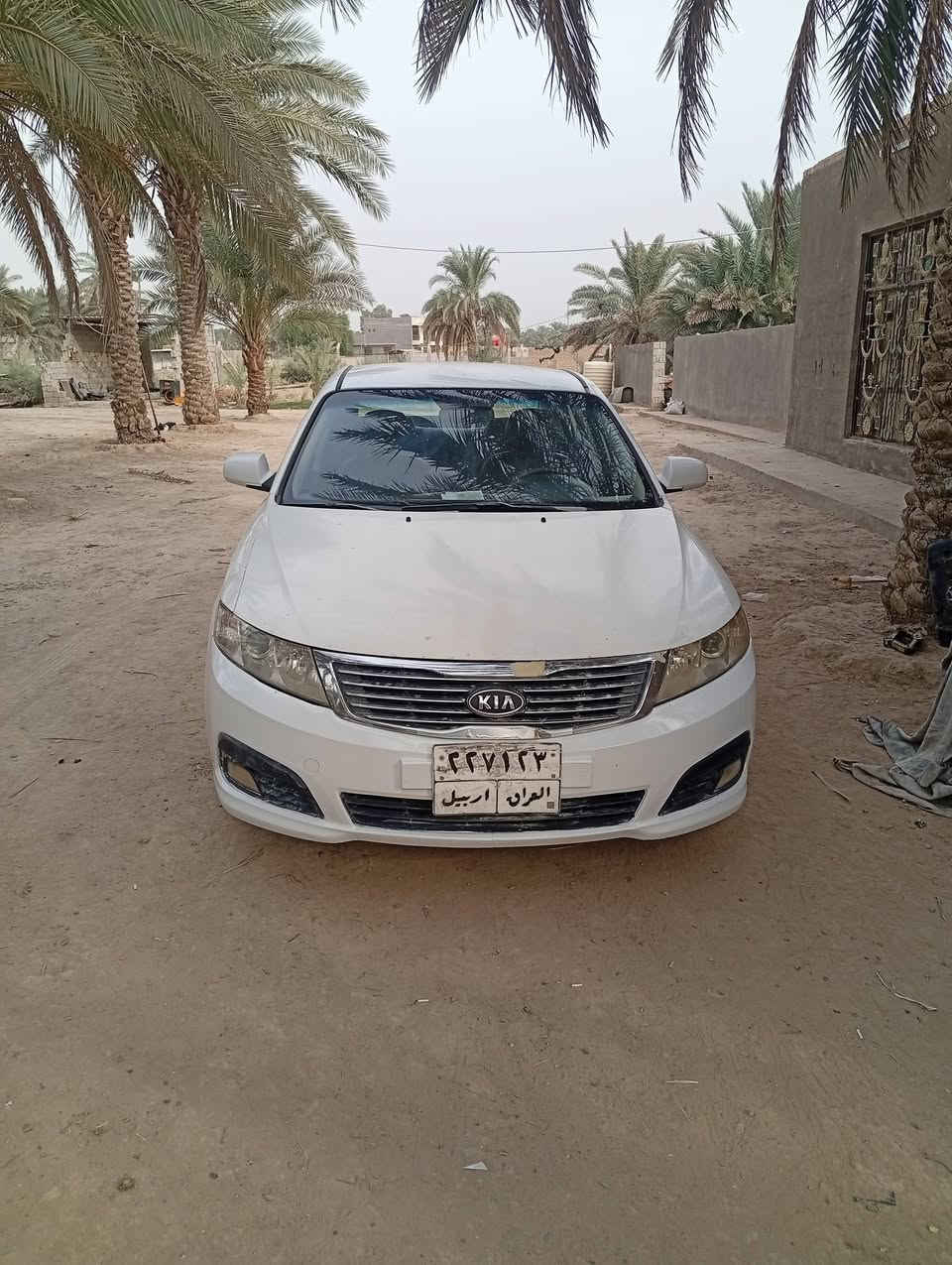 اوبتيما • بابل • ورقه