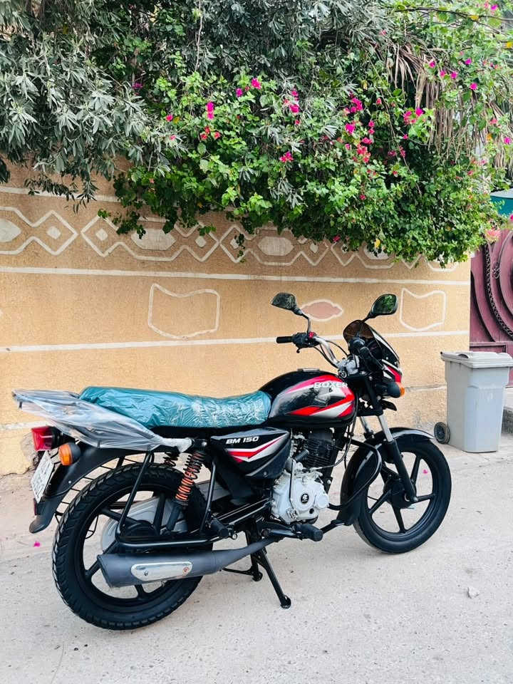 بوكسر • ٢٠٢٢ • كفاله عامه