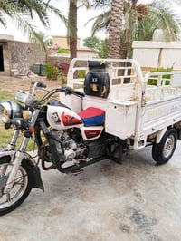 ستوته ام طير • ٢٠٢٢ • مكفول