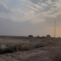ع الشط • ١١ دونم • قريبة مدرسة