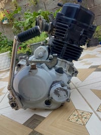 بوكسر • ٢٣ • معمره